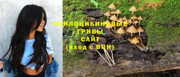 герыч Касимов