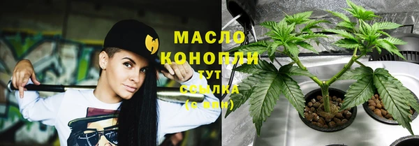 гидра Карталы