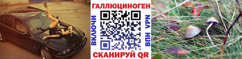 Купить где  Сасово  Псилоцибиновые грибы прущие грибы 